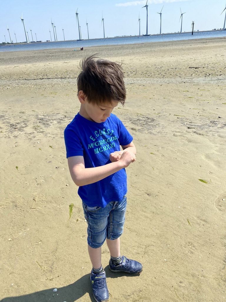 Max at the beach at the south side of the Grevelingendam