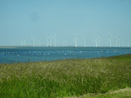 Grass at the southwest side of the Grevelingendam, the Krammer lake and windmills at the Krammersluizen sluices, viewed from the car on the Grevelingensluis street