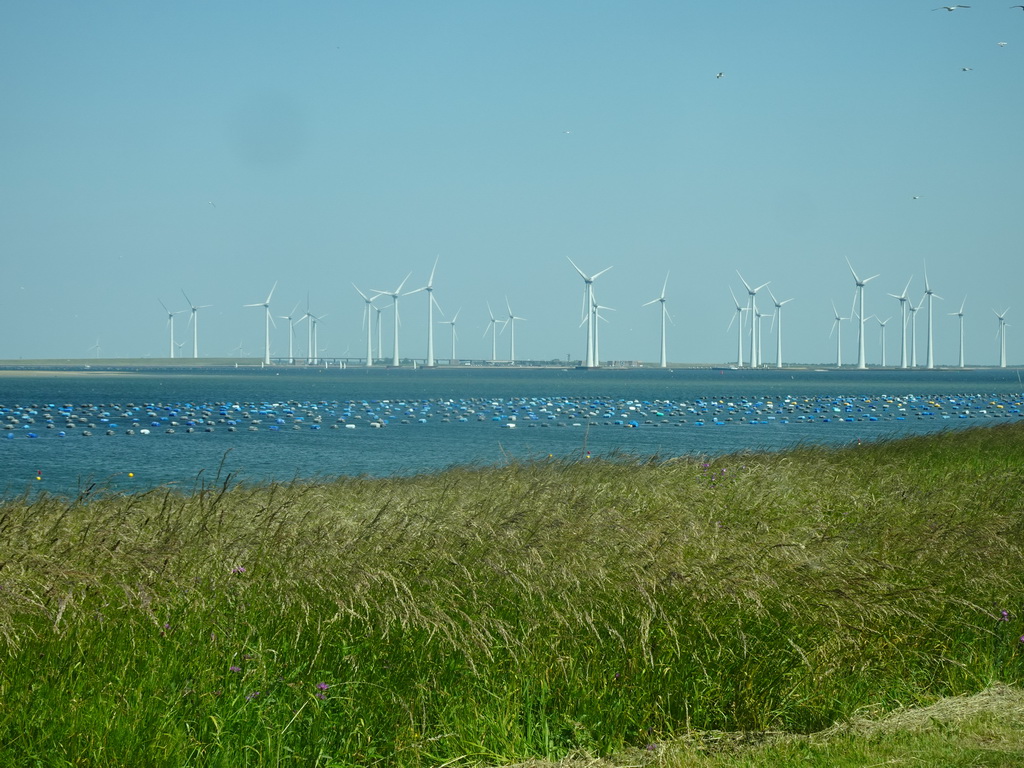 Grass at the southwest side of the Grevelingendam, the Krammer lake and windmills at the Krammersluizen sluices, viewed from the car on the Grevelingensluis street
