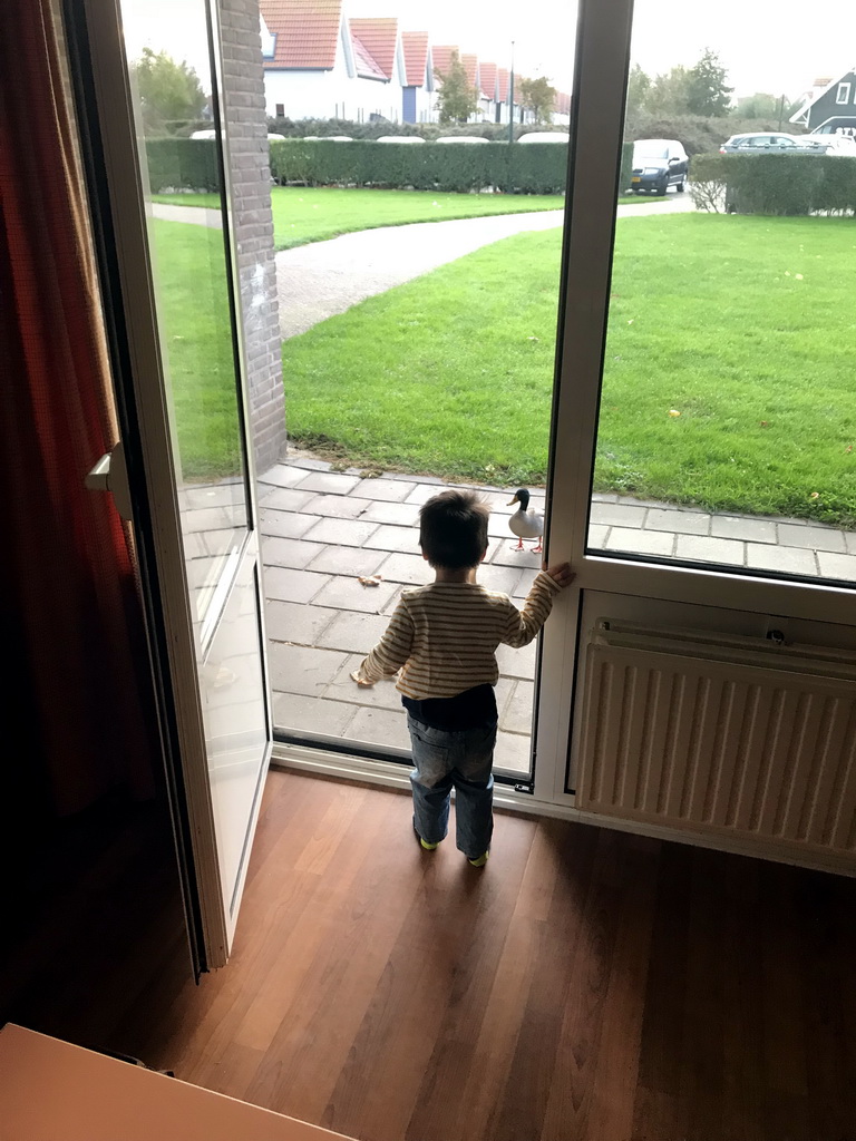 Max with a duck at the living room at the ground floor of our apartment at Holiday Park AquaDelta