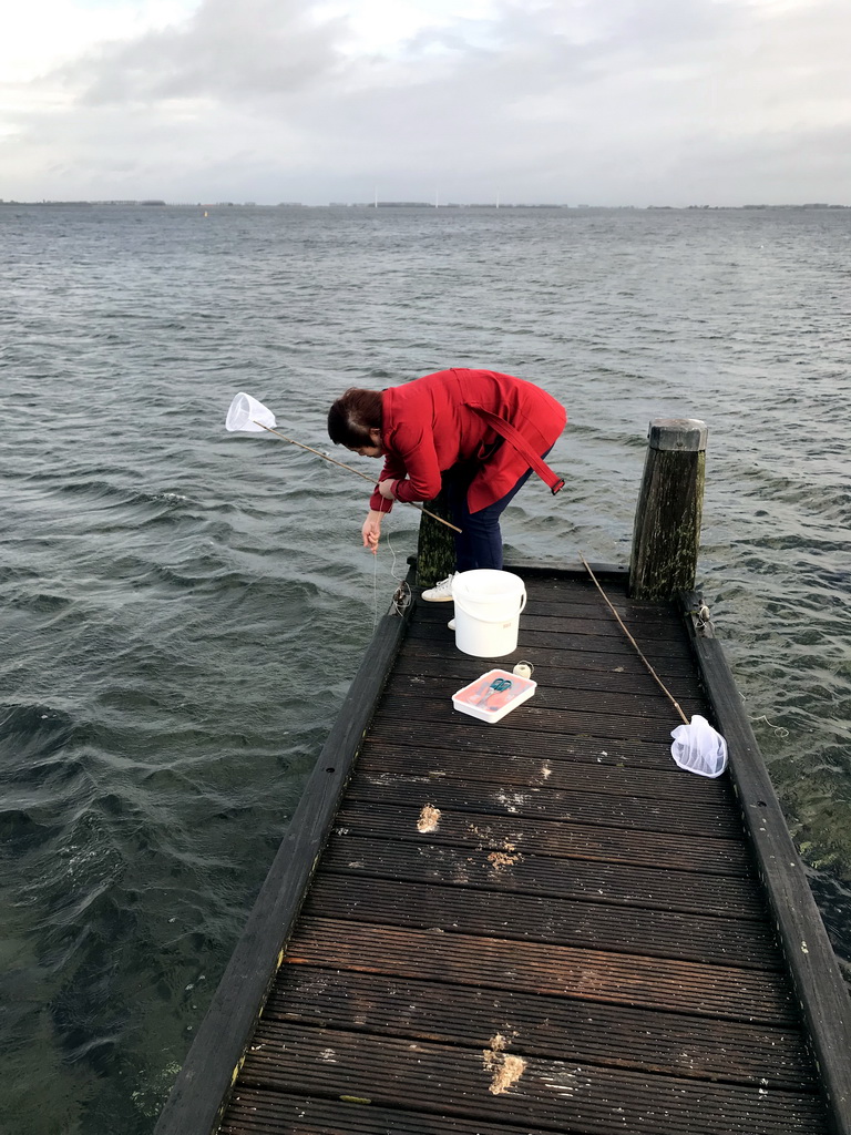 Miaomiao catching crabs on a pier at the northwest side of the Grevelingendam