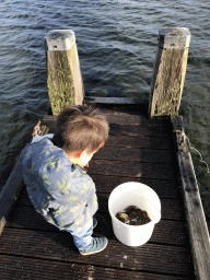 Max and a bucket with crabs on a pier at the northwest side of the Grevelingendam