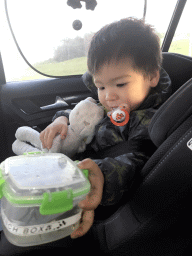 Max and a box with crabs in the car