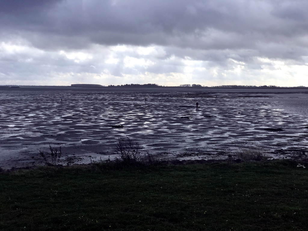 Beach at the southwest side of the Grevelingendam