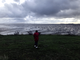 Miaomiao at the beach at the southwest side of the Grevelingendam