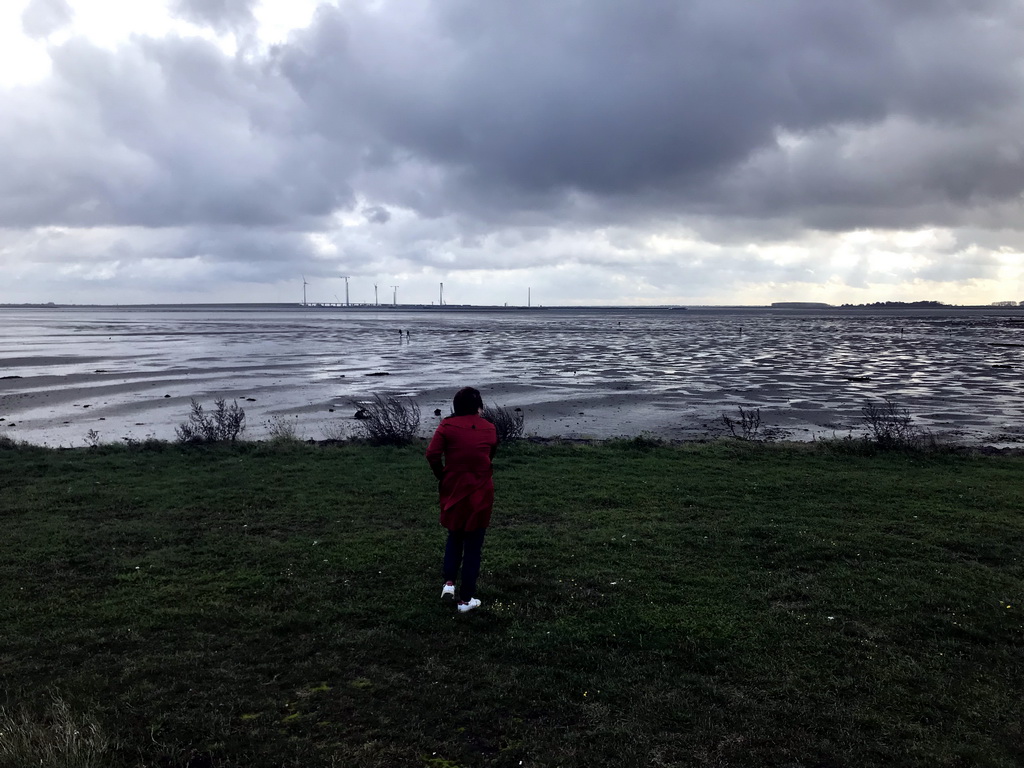 Miaomiao at the beach at the southwest side of the Grevelingendam