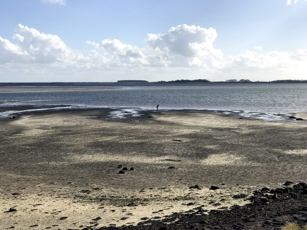 Miaomiao at the beach at the southwest side of the Grevelingendam