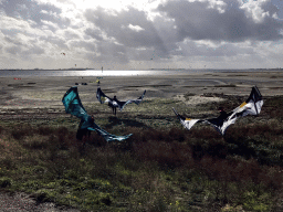 Kite surfers at the beach at the southeast side of the Grevelingendam