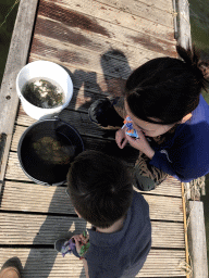 Max catching crabs on a pier at the northwest side of the Grevelingendam