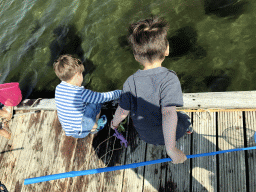 Max catching crabs on a pier at the northwest side of the Grevelingendam