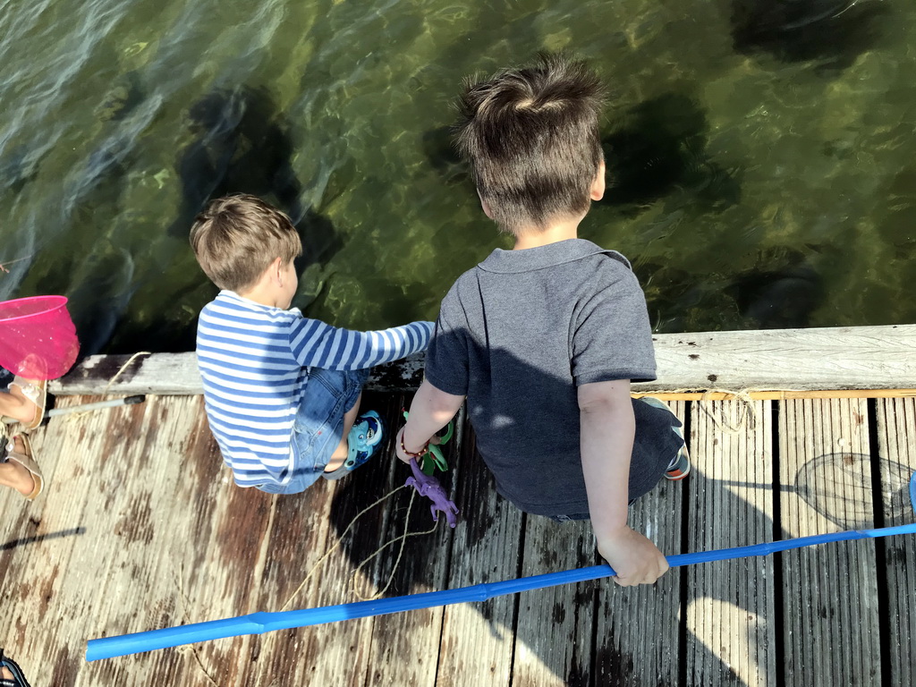 Max catching crabs on a pier at the northwest side of the Grevelingendam