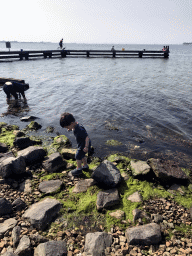 Max looking for seashells at the northwest side of the Grevelingendam