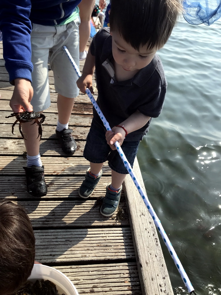 Max and other people catching crabs on a pier at the northwest side of the Grevelingendam