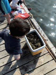 Max catching crabs on a pier at the northwest side of the Grevelingendam