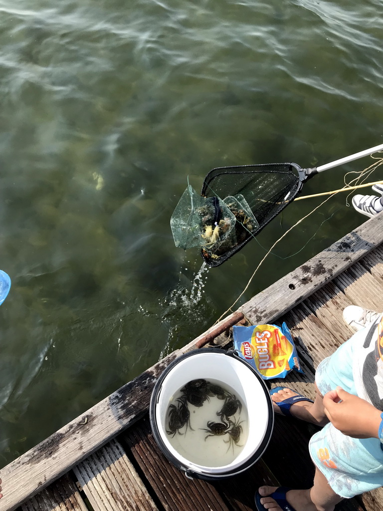 People catching crabs on a pier at the northwest side of the Grevelingendam