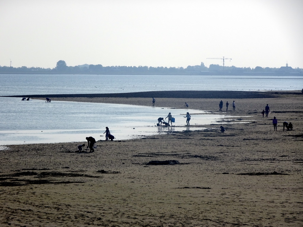 The Krammer lake and the beach at the southwest side of the Grevelingendam, viewed from Restaurant Grevelingen