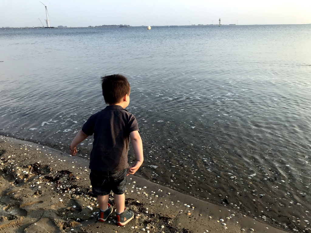 Max at the beach at the southwest side of the Grevelingendam and the Krammer lake