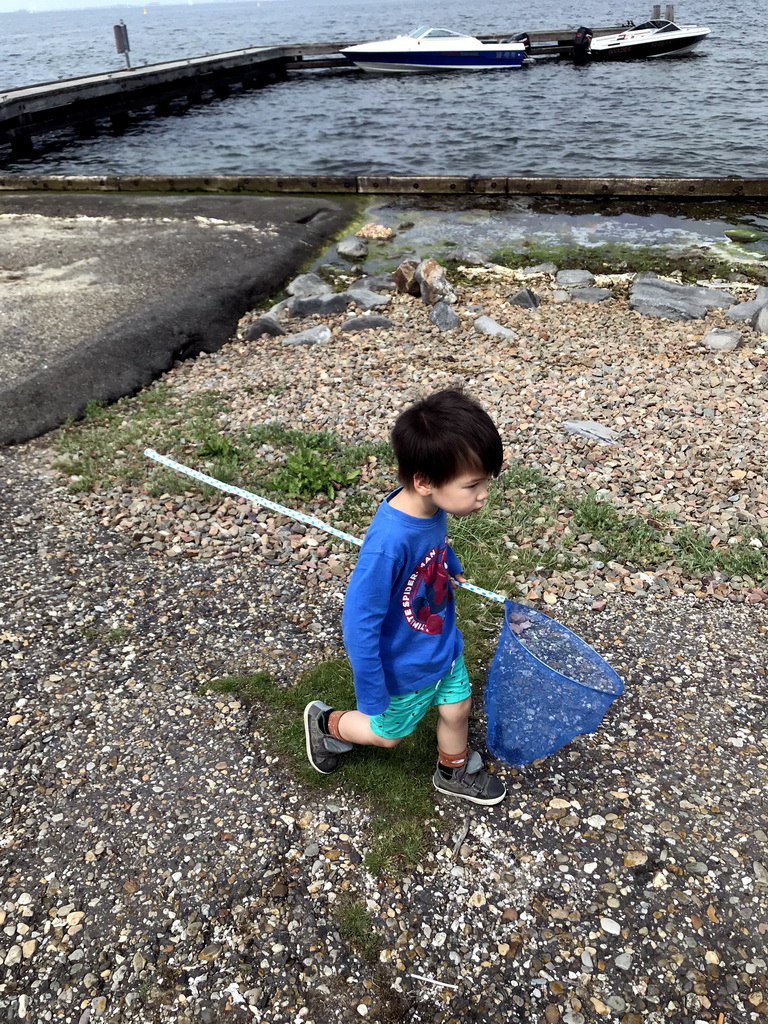 Max catching crabs at the northwest side of the Grevelingendam