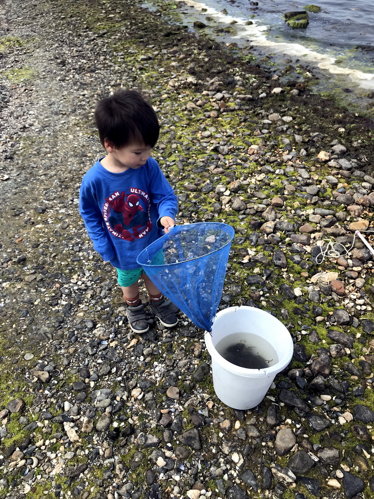 Max and a bucket with crabs at the northwest side of the Grevelingendam