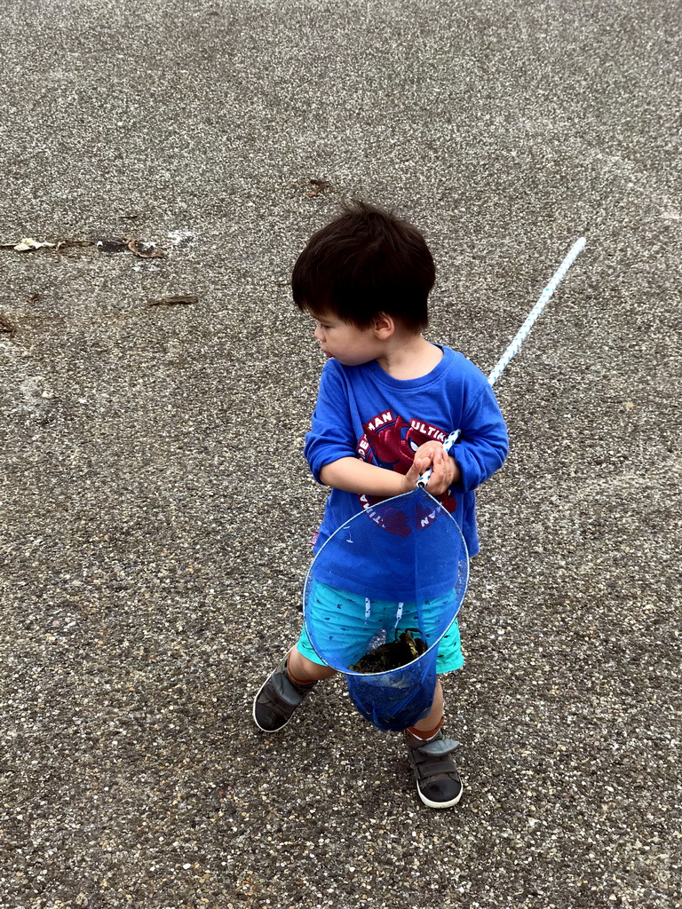 Max catching crabs at the northwest side of the Grevelingendam