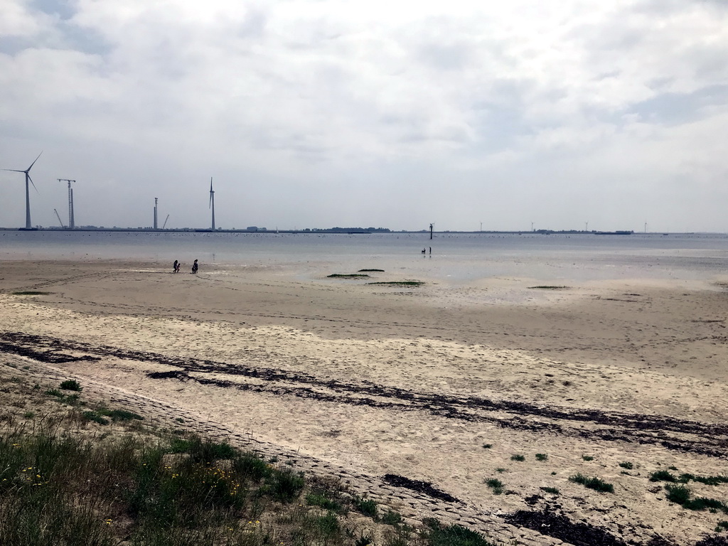 The Krammer lake, windmills and the beach at the southwest side of the Grevelingendam