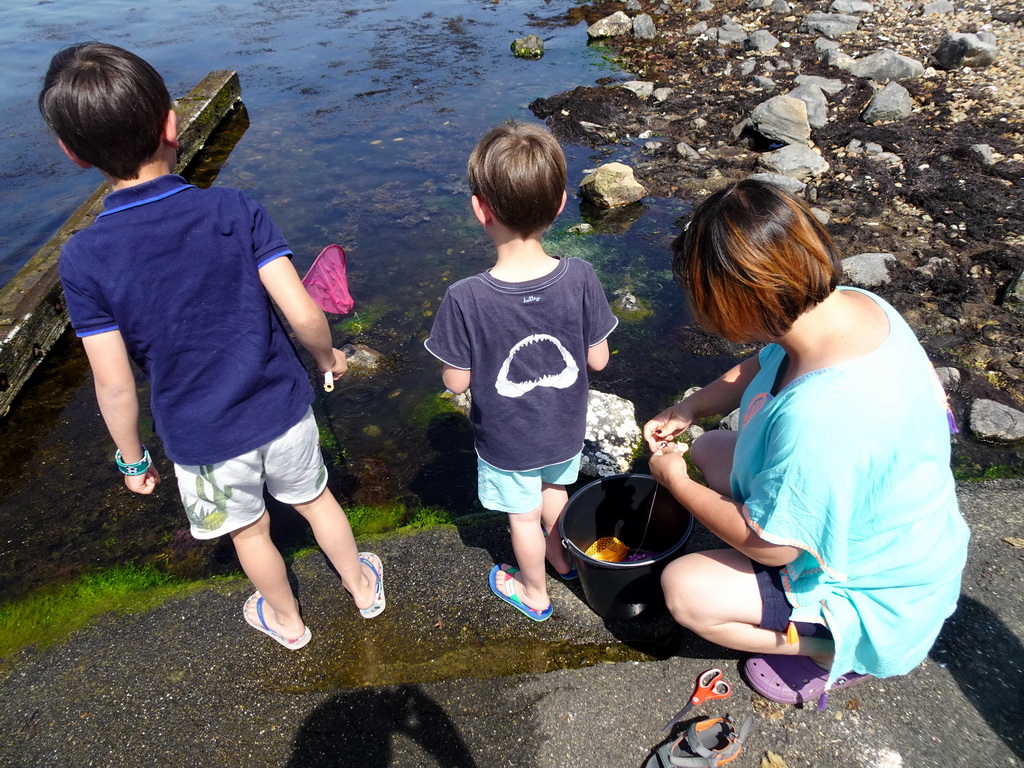 Miaomiao and our friends catching crabs at the northwest side of the Grevelingendam
