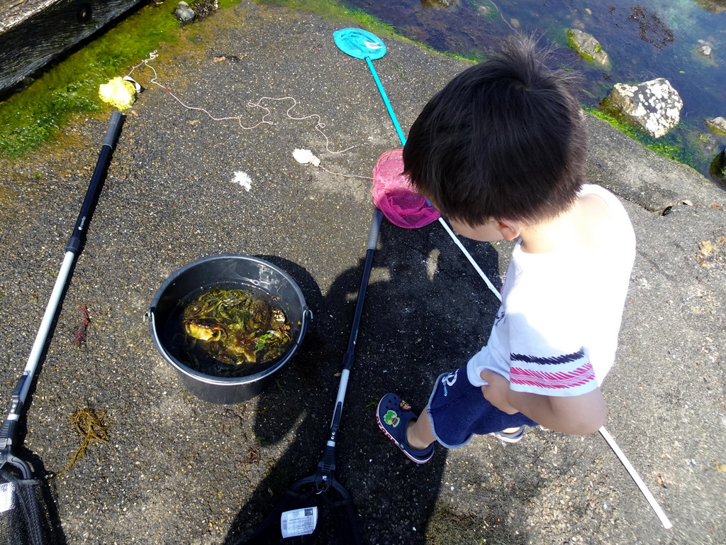 Max and a bucket with crabs at the northwest side of the Grevelingendam