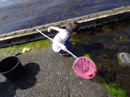 Max catching crabs at the northwest side of the Grevelingendam