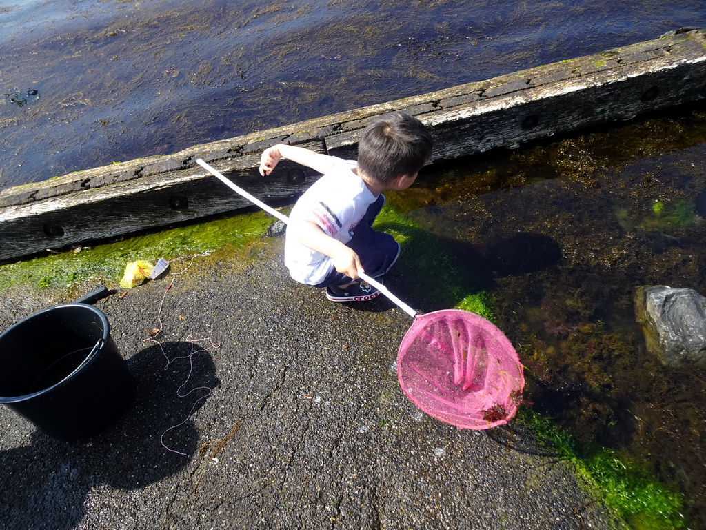 Max catching crabs at the northwest side of the Grevelingendam