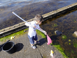 Max catching crabs at the northwest side of the Grevelingendam