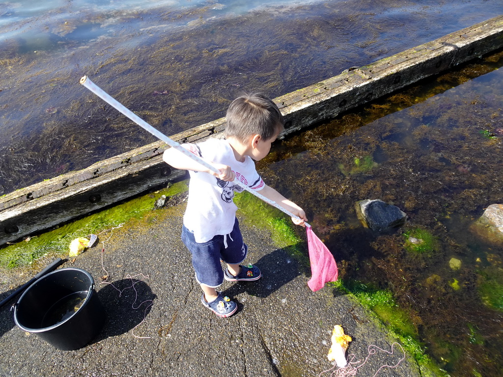 Max catching crabs at the northwest side of the Grevelingendam