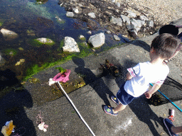 Max catching crabs at the northwest side of the Grevelingendam