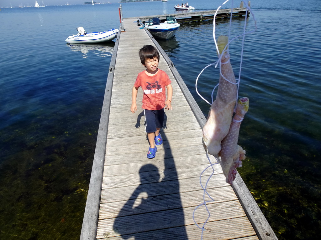 Max with chicken legs on a pier at the northwest side of the Grevelingendam