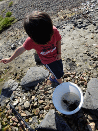 Max and a bucket with crabs at the northwest side of the Grevelingendam