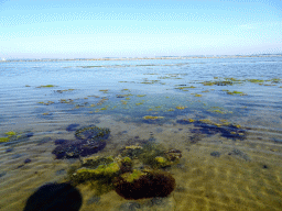 The Grevelingenmeer lake, viewed from the north side of the Grevelingendam