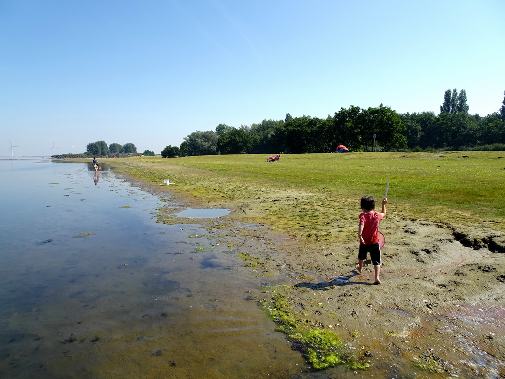 Max and our friends catching crabs at the north side of the Grevelingendam