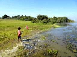 Max catching crabs at the north side of the Grevelingendam