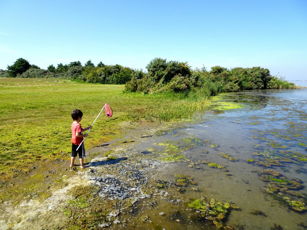 Max catching crabs at the north side of the Grevelingendam