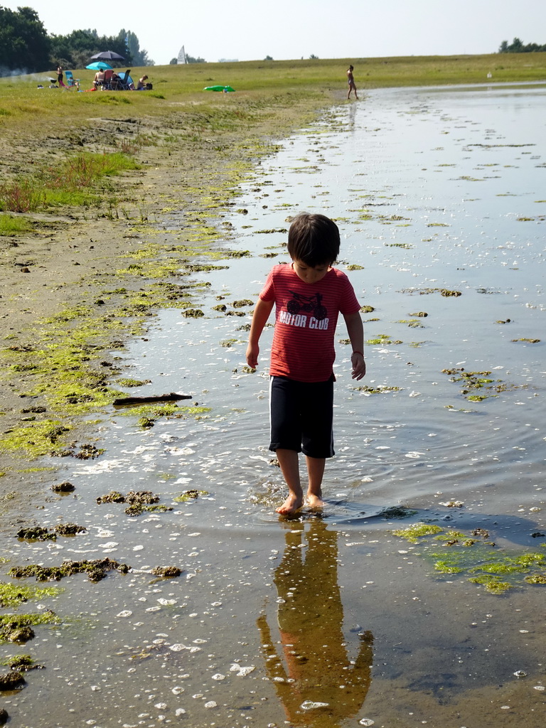 Max catching crabs at the north side of the Grevelingendam