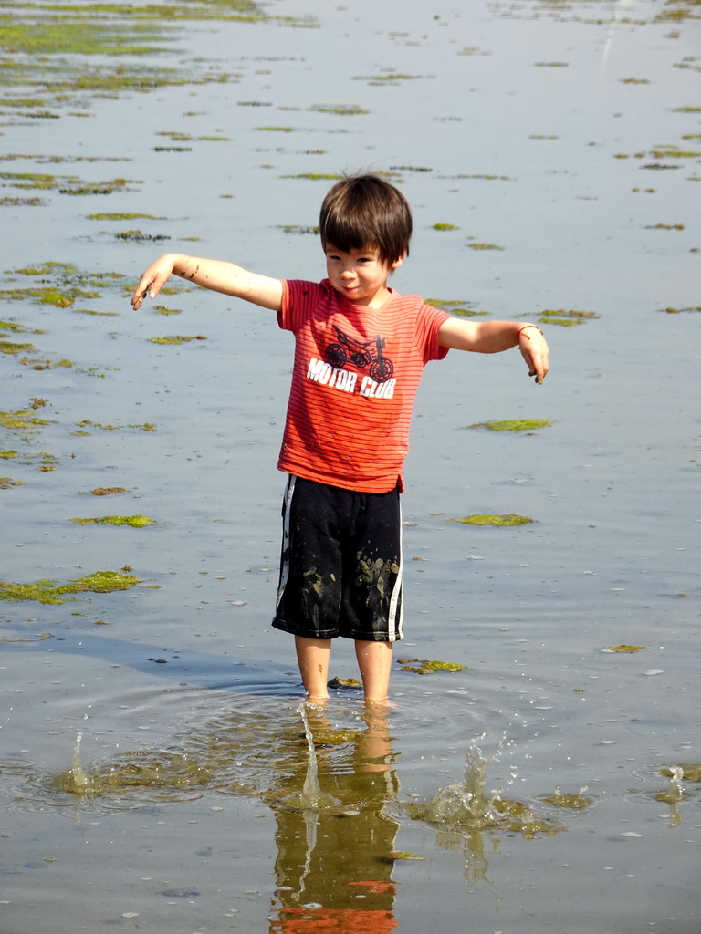 Max catching crabs at the north side of the Grevelingendam