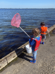 Max and his friend catching crabs at the northwest side of the Grevelingendam