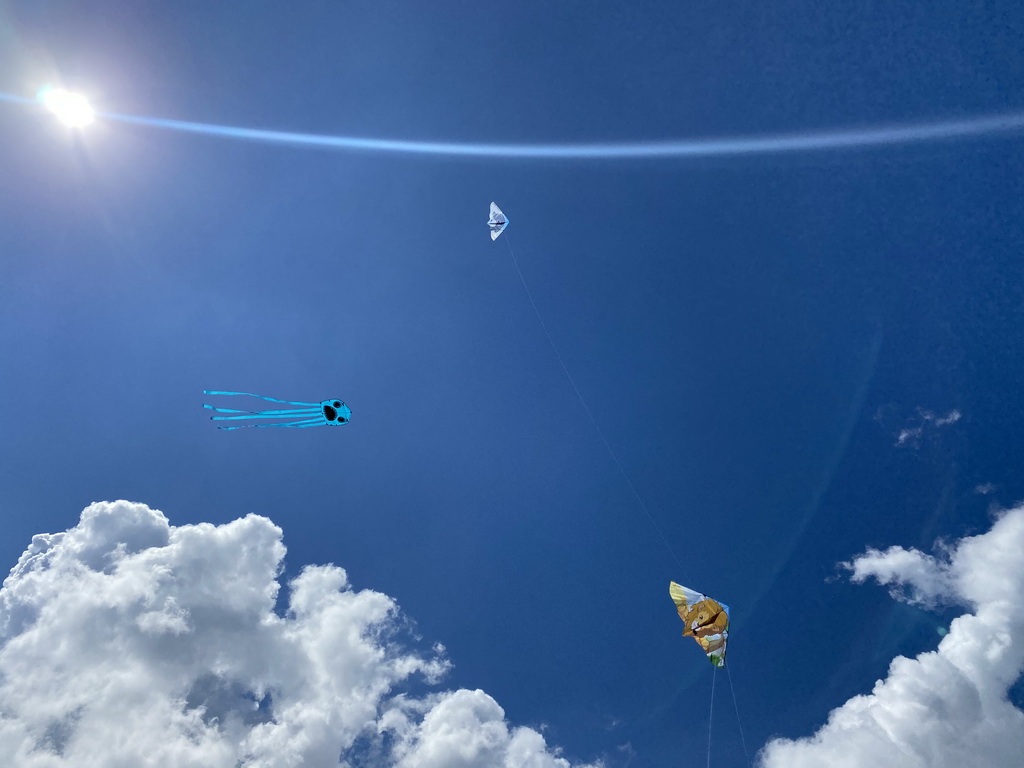 Our kites flying in the air at the northwest side of the Grevelingendam