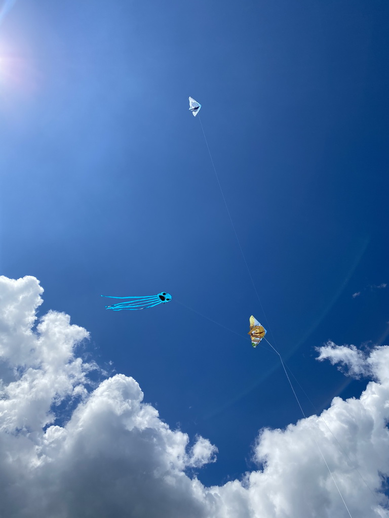 Our kites flying in the air at the northwest side of the Grevelingendam