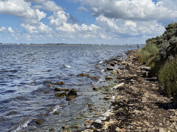 Beach at the northwest side of the Grevelingendam