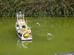 Scale model of a ship, dolphin and shark at the Mini-Europe miniature park