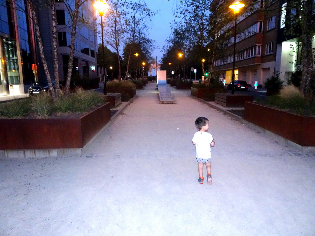 Max in front of the Monument for the Victims of the Terrorist Attacks in Brussels of 2016, at the Rue de la Loi street, by night