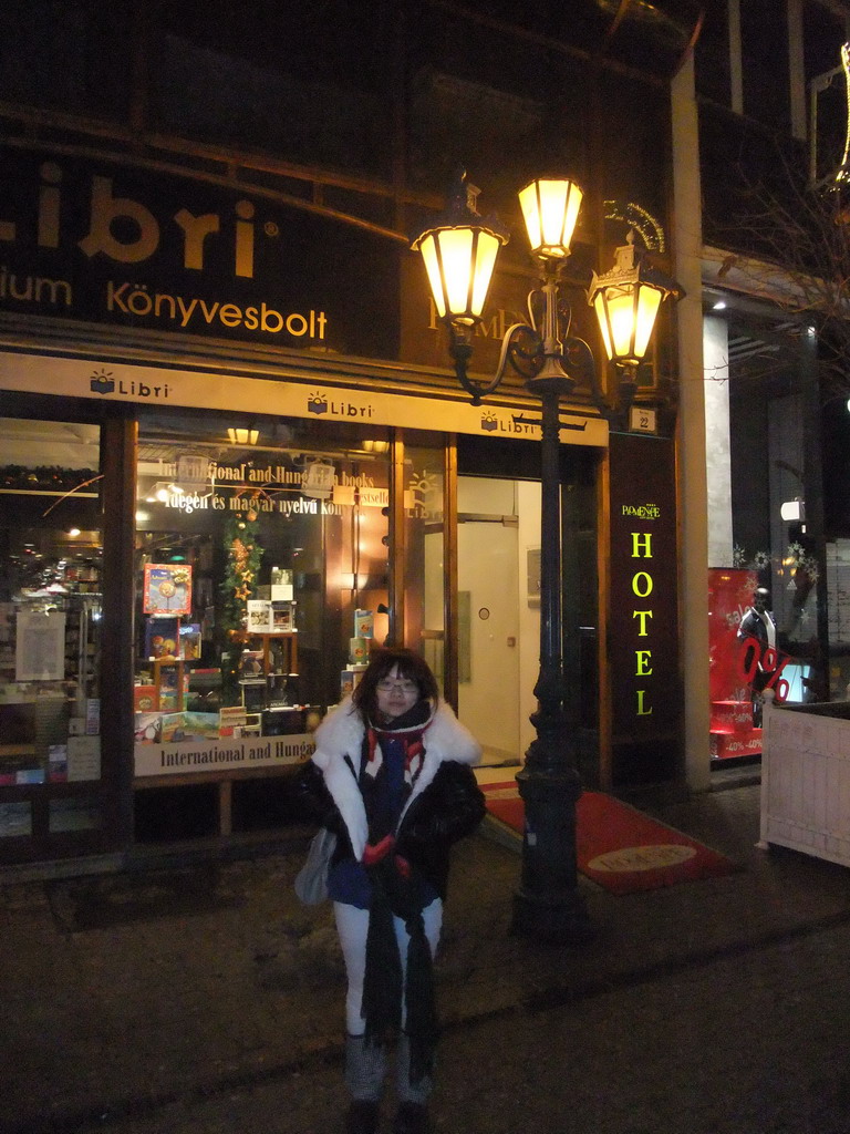 Miaomiao in front of the Promenade City Hotel in Vaci Utca street, by night