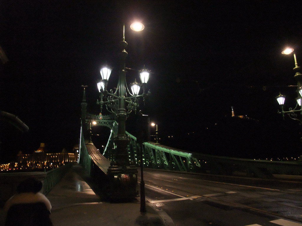 Miaomiao, Liberty Bridge, the Liberty Statue and Hotel Gellért, by night