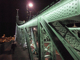 Miaomiao, Liberty Bridge and Hotel Gellért, by night