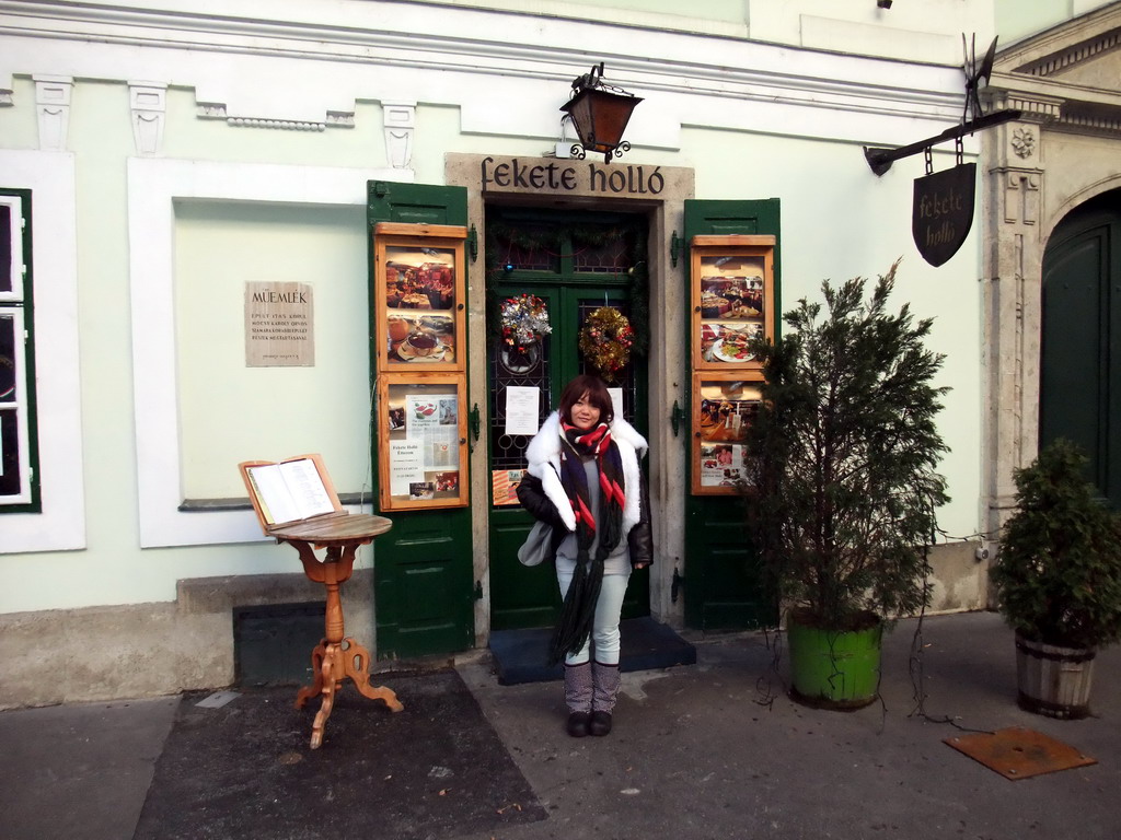 Miaomiao in front of the restaurant `Fekete Holló`